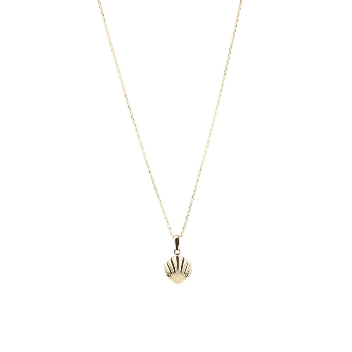 14 Ayar Altın Deniz Kabuğu Kolye