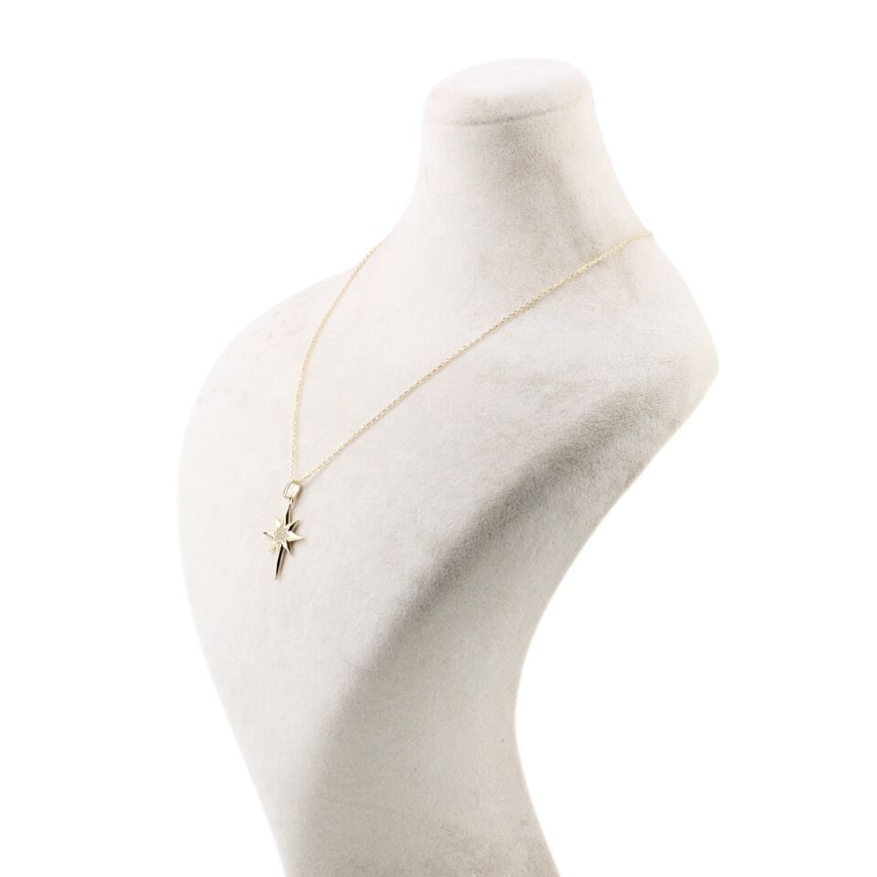 14 Ayar Altın Kutup Yıldızı Kolye